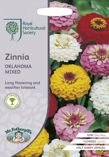 Hovedbilde Sinnia 'Oklahoma Mixed' - Zinnia elegans