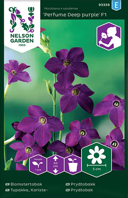 Hovedbilde Prydtobakk 'Perfume Deep Purple' - Nicotiana x sanderae