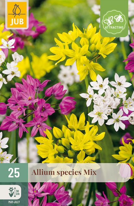 Hovedbilde Prydløk, blanding- Species Mix - 25 stk