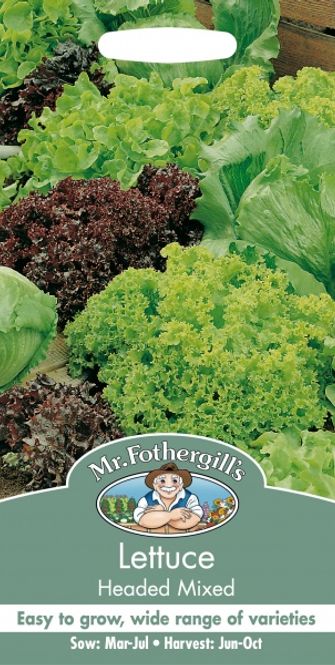 Hovedbilde Salatblanding 'Headed Mixed' - Lactuca