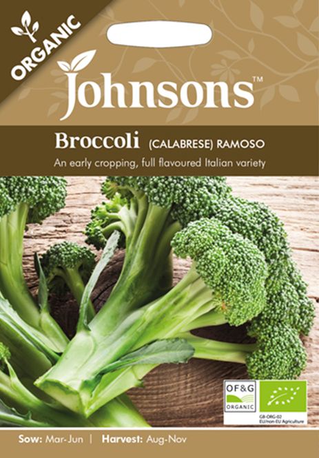 Hovedbilde Brokkoli 'Ramoso' - Brassica oleracea, Organic