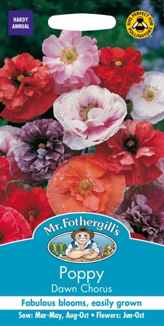 Hovedbilde Kornvalmue 'Dawn Chorus' - Papaver rhoeas