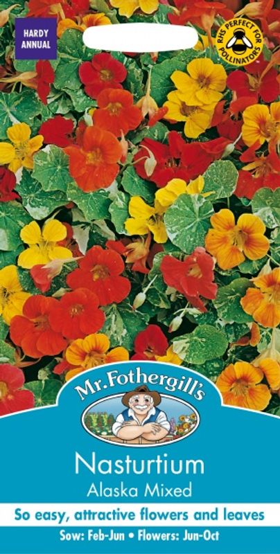 Blomkarse 'Alaska Mixed’, lav - Tropaeolum majus