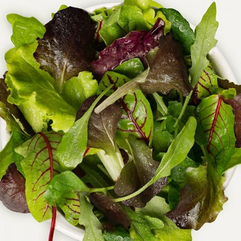 Salatblanding 'Baby Leaf Provence II' - Lactuca 