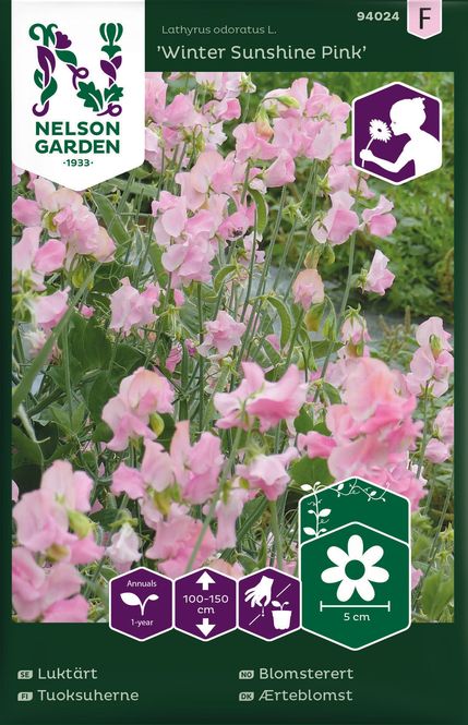 Hovedbilde Blomsterert 'Winter Sunshine Pink' - Lathyrus odoratus 