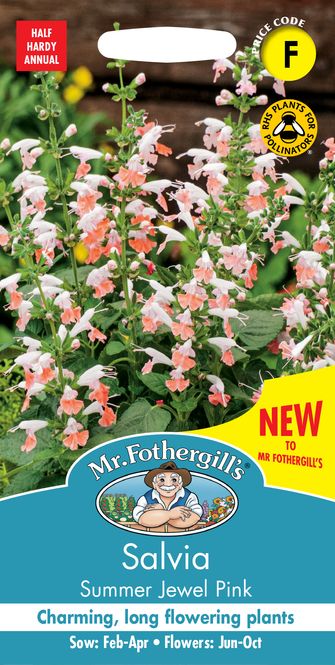 Hovedbilde Salvie 'Summer Jewel Pink' - Salvia coccinea
