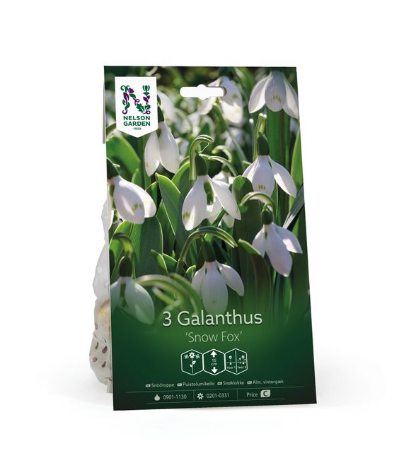 Hovedbilde Snøklokke 'Snow Fox' - Galanthus -  3 stk
