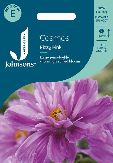 Hovedbilde Pyntekorg 'Fizzy Pink’ - Cosmos bipinnatus