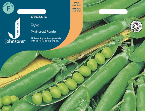Hovedbilde Margert 'Rondo - Pisum sativum, Organic