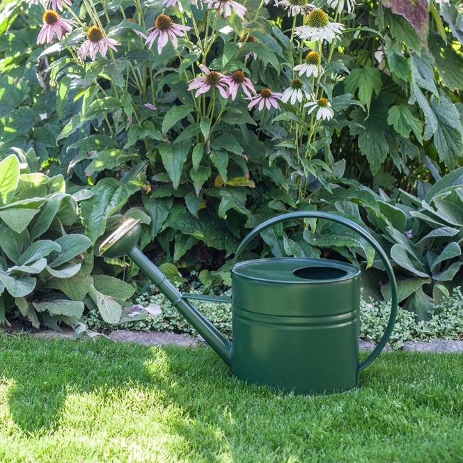 Hovedbilde Vannkanne mosegrønn, oval 4 liter