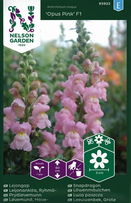 Hovedbilde Løvemunn 'Opus™ Pink’ F1 - Antirrhinum majus