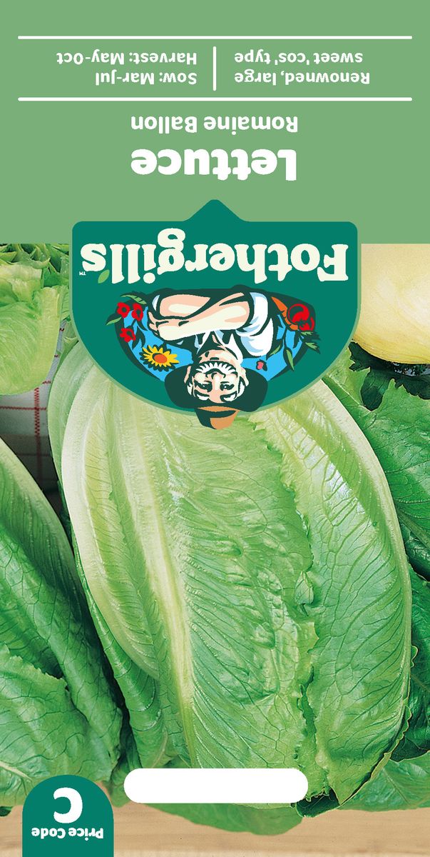 Romanosalat 'Romaine Ballon' - Lactusa