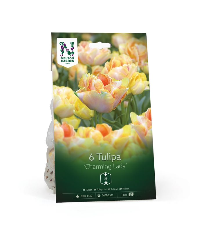 Tulipan 'Charming Lady', Doble sene - 6 stk