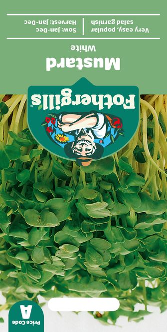 Hovedbilde Hvitsennepspirer - Brassica sinapis