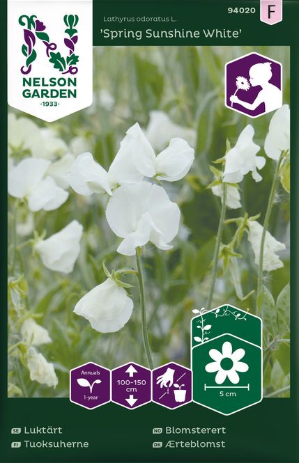 Hovedbilde Blomsterert 'Spring Sunshine White' - Lathyrus odoratus 