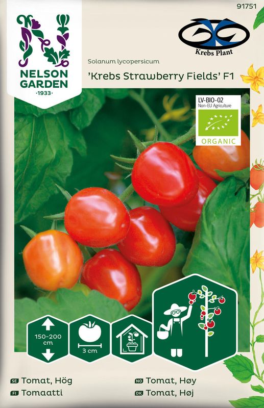 Drivhustomat 'Krebs Strawberry Fields' F1 - Lycopersicon