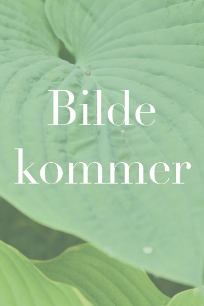 Hovedbilde Ekstra tilsending av varer