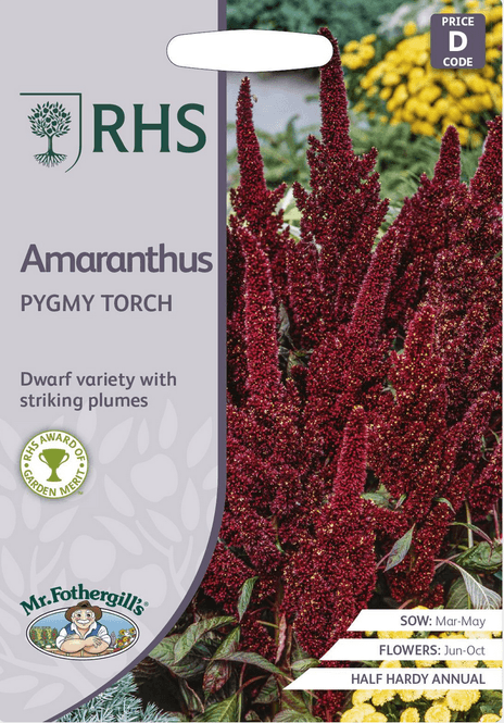 Hovedbilde Toppamarant 'Pygmy Torch' - Amaranthus hypochondriacus