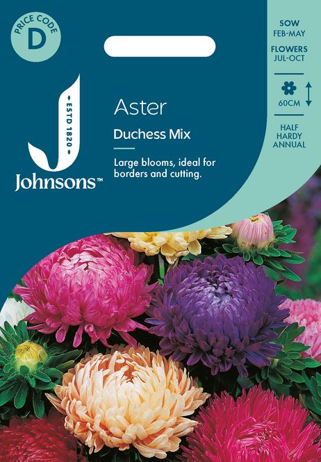 Hovedbilde Sommeraster 'Duchess Mixed' - Callistephus chinensis