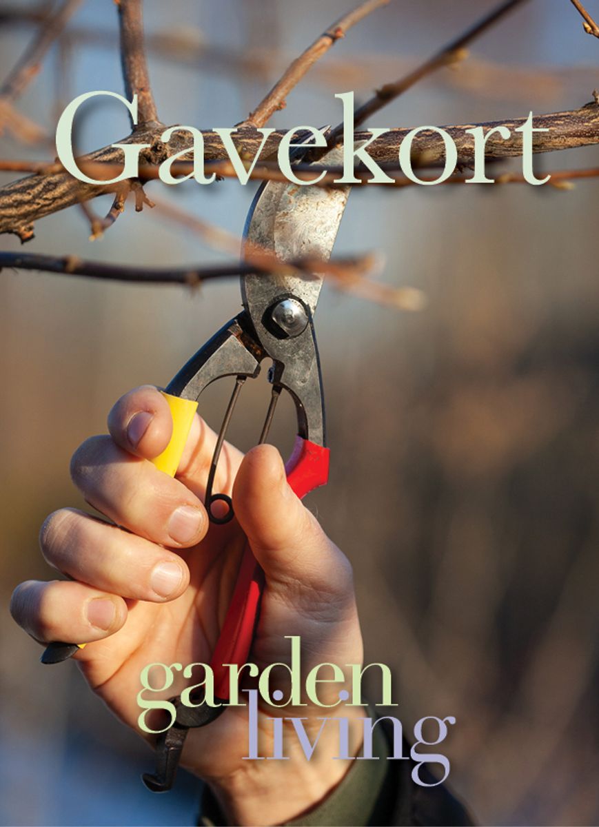 Gavekort
