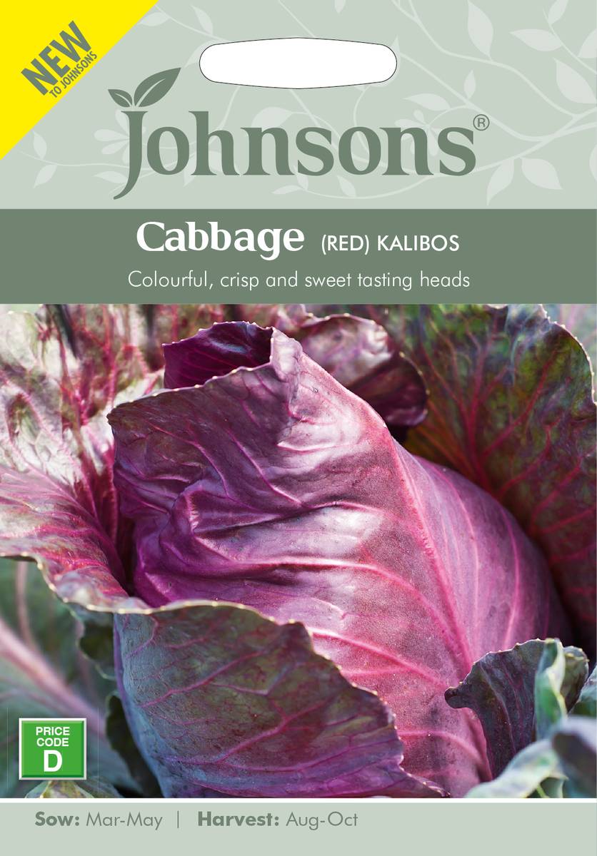 Spisskål 'Kalibos' - Brassica oleracea 