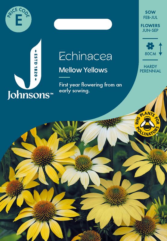Purpursolhatt 'Mellow Yellows' - Echinacea purpurea 