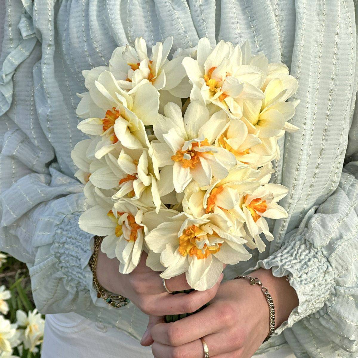 Påskelilje 'Flowerdrift’ - 10 stk