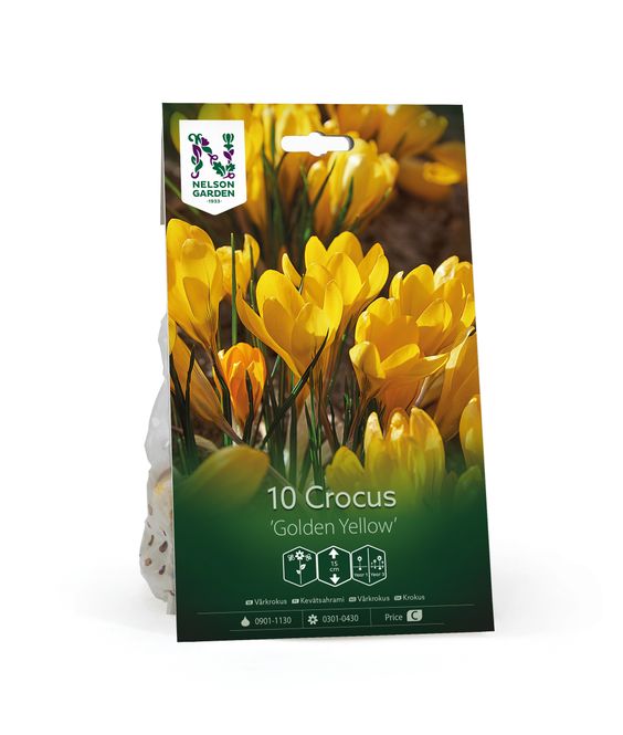 Hovedbilde Begerkrokus 'Golden Yellow - Crocus chrysanthus - 10 stk 