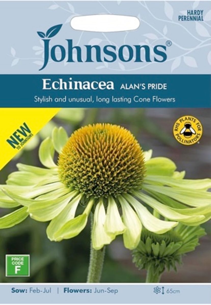 Purpursolhatt 'Alan's Pride' - Echinacea purpurea 