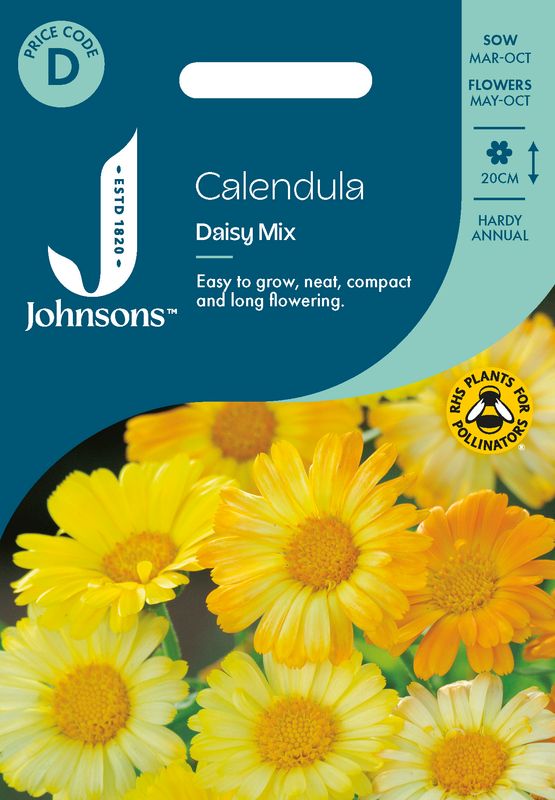 Ringblomst 'Daisy Mixed’ - Calendula officinalis