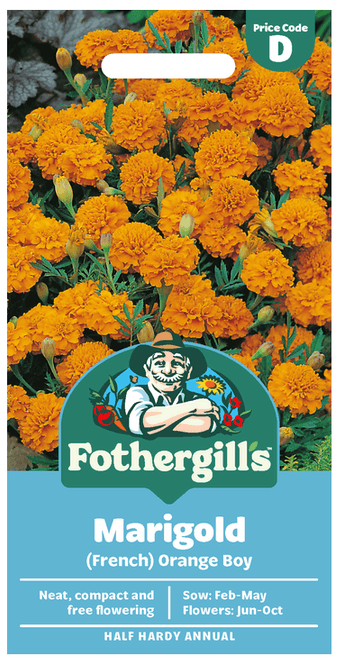 Hovedbilde Fløyelsblomst 'Orange Boy' - Tagetes patula