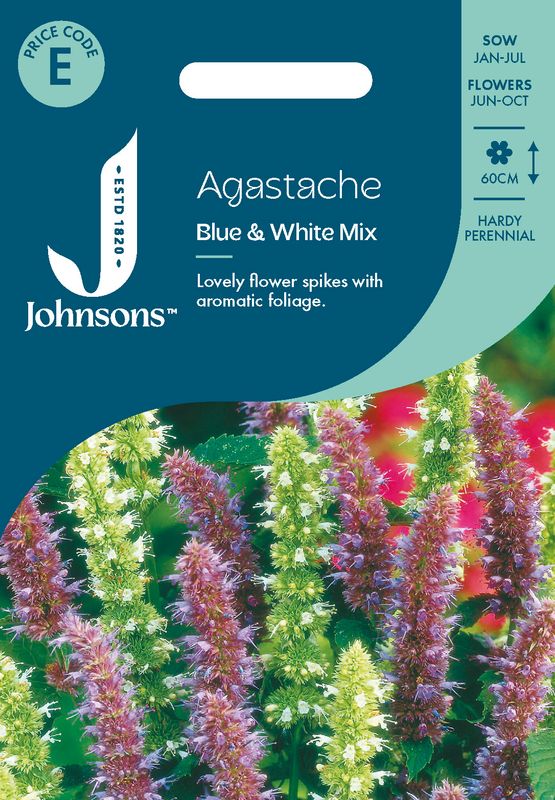 Anisisop 'Blue and White Mixed' - Agastache foeniculum