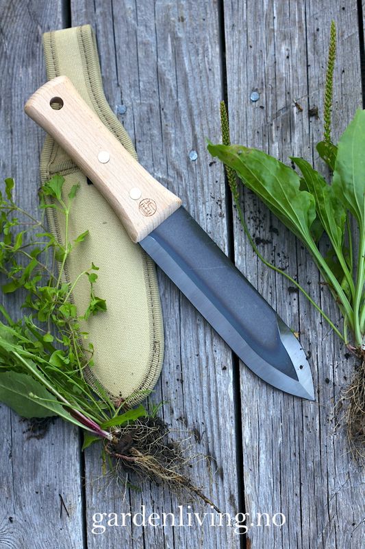 Niwaki, Hori Hori - hagekniv med slire