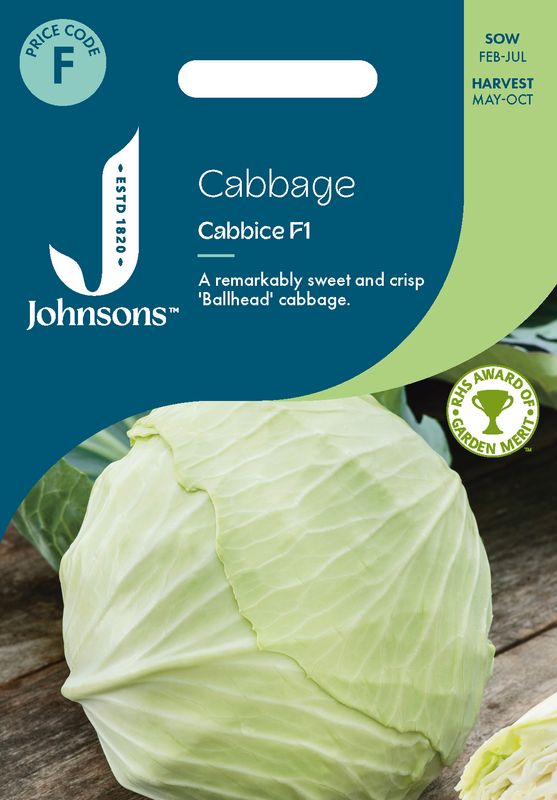 Hodekål 'Cabbice' F1 - Brassica oleracea var. Capitata