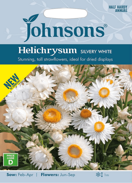 Hovedbilde Høststråblomst 'Silvery White' - Xerochrysum bracteatum