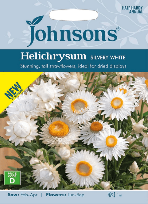 Hovedbilde Høststråblomst 'Silvery White' - Xerochrysum bracteatum