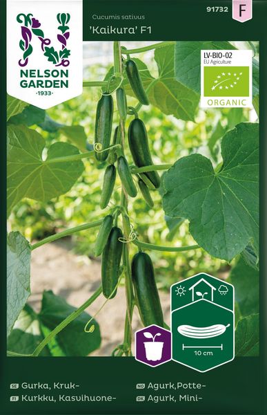 Hovedbilde Miniagurk 'Kaikura' F1, organic - Cucumis sativus