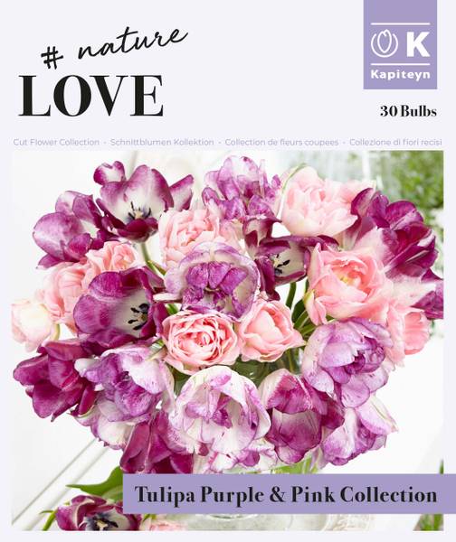 Hovedbilde Bukett kolleksjon, Bouquet purple and pink - 30 stk