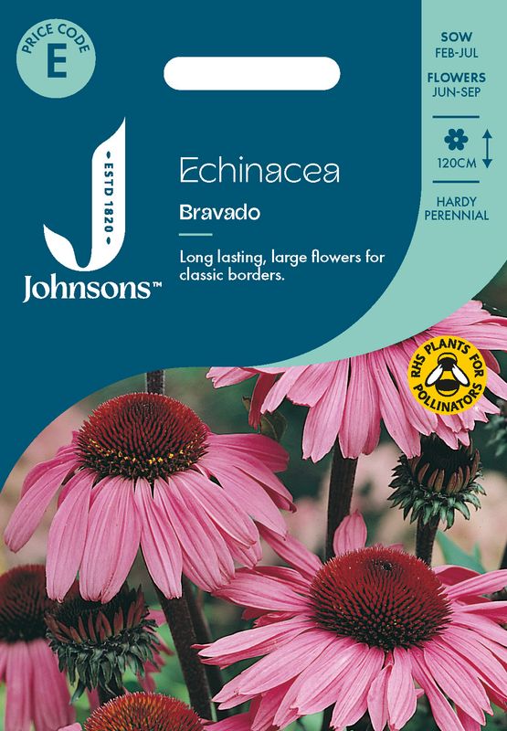 Purpursolhatt 'Bravado’ - Echinacea purpurea 