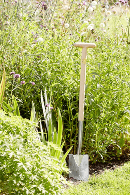 Hovedbilde SC Hagespade