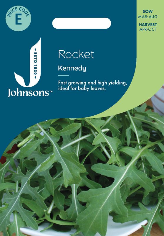 Ruccola 'Kennedy' - Eruca sativa
