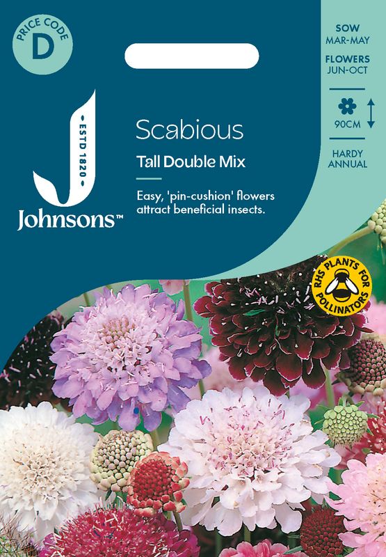 Sørgeskabiosa 'Tall Double Mixed' - Scabiosa atropurpurea