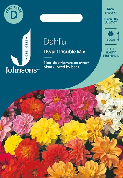 Hovedbilde Georgine 'Dwarf Double Mixed' - Dahlia