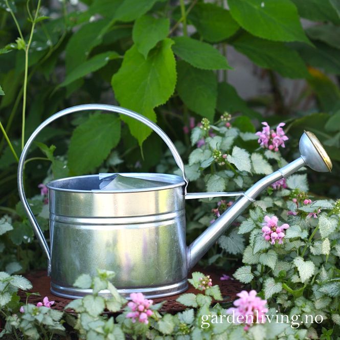 Hovedbilde Vannkanne sink, oval 1,7 liter