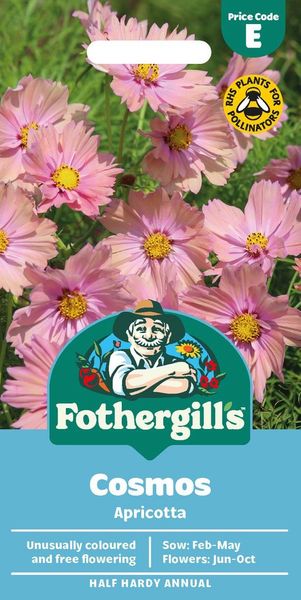 Hovedbilde Pyntekorg 'Apricotta' - Cosmos bipinnatus