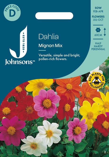 Hovedbilde Georgine 'Mignon Mixed' - Dahlia