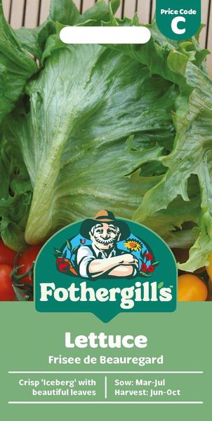 Hovedbilde Isbergsalat 'Frisèe de Beauregard' - Lactuca