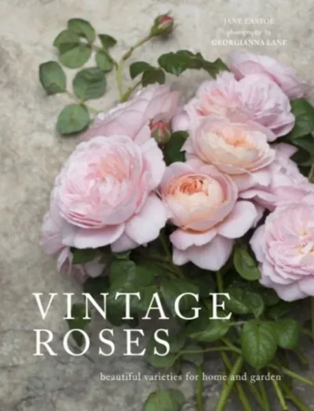 Hovedbilde Vintage Roses: Beautiful Varieties for Home and Garden - ...