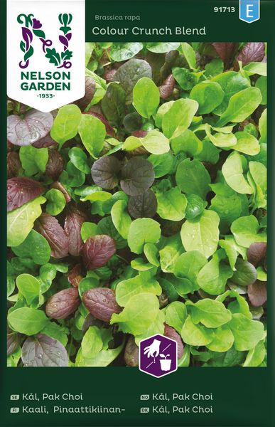 Hovedbilde Pak Choi 'Colour Crunch Blend' - Brassica rapa