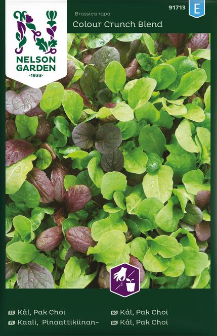 Hovedbilde Pak Choi 'Colour Crunch Blend' - Brassica rapa